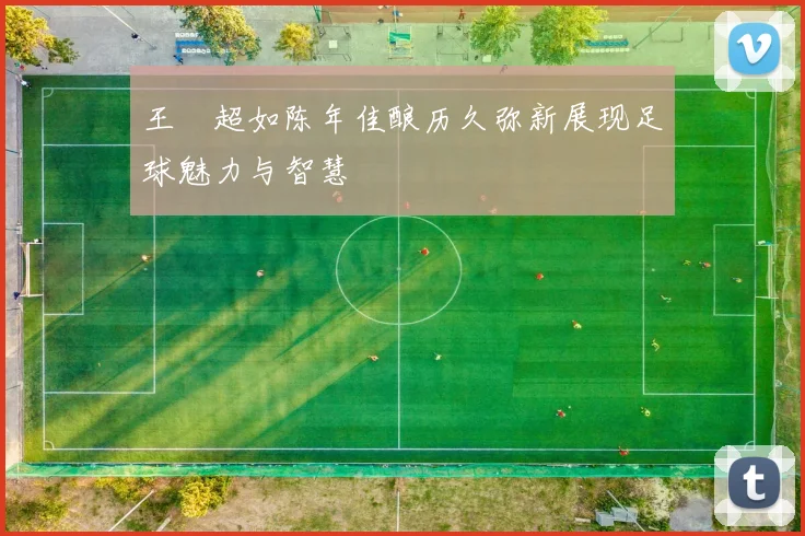 王燊超如陈年佳酿历久弥新展现足球魅力与智慧